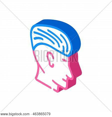 Pompadour Hairstyle Male Isometric Icon Vector. Pompadour Hairstyle Male Sign. Isolated Symbol Illus