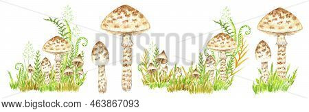 Poisonous Mushrooms Watercolor Set, Toadstool, Inedible Toxic Mushroom, Fly Agaric, White Toadstool.
