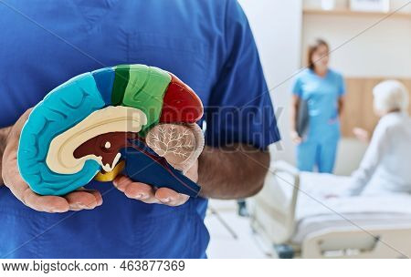 Recovery Of Elderly Woman After Stroke In Hospital Room With Doctor And Nurse. Neurologist Holding A