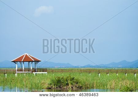 Træ bro i lotus lake i khao sam roi yod national park, thailand