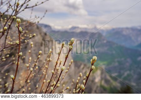 Breathtaking Panoramic View Of The Grlo Sokolovo Gorge In Montenegro. In The Foreground Is A Mountai