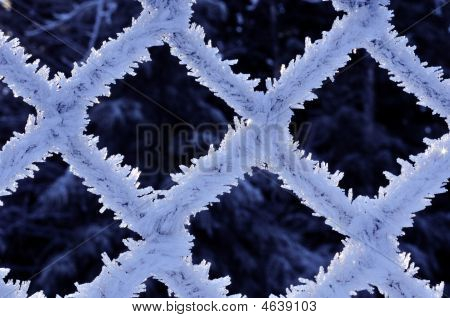 Cristais de gelo fino Chainlink Fence