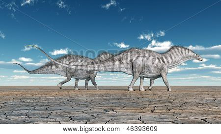 Dinosauruksen Amargasaurus