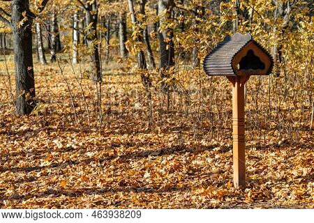 A Feeder For Squirrels And Birds Stands In The Park. Feeder For Squirrels