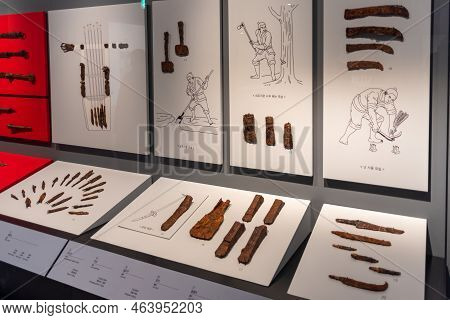 Busan Museum Collection Of Artifacts And Relics In Busan South Korea
