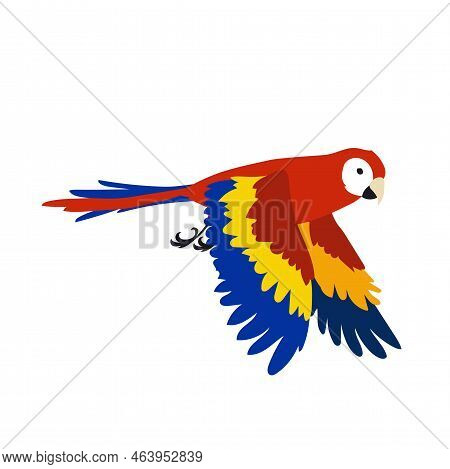 Red Tropical Parrot Flapping Wings Vector Illustration. Bird Spreading Wings, Movements Of Wings. Re