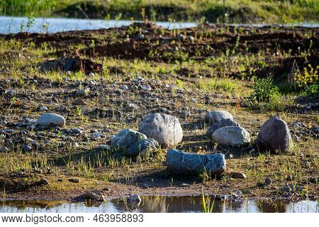 Rounded Glacial Boulders In A Gravel And Sand Pit In The Kaluga Region, Russia