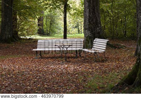 Benches In The Autumn Park. Mid-october, Germany, Ravensburg