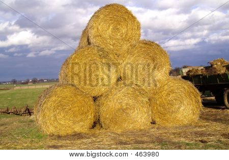 Stroh