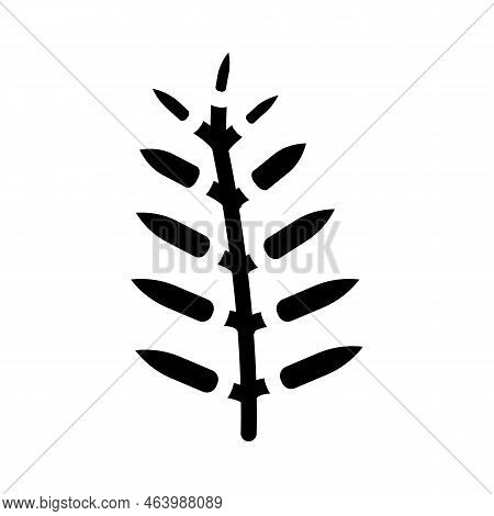 Royal Fern Tropical Leaf Glyph Icon Vector. Royal Fern Tropical Leaf Sign. Isolated Symbol Illustrat