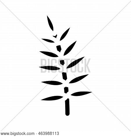 Chamaedorea Tropical Leaf Glyph Icon Vector. Chamaedorea Tropical Leaf Sign. Isolated Symbol Illustr