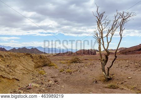 Winter View Of Arava Desert Valley Landscape Near The Shkhoret Canyon, Southern Israel