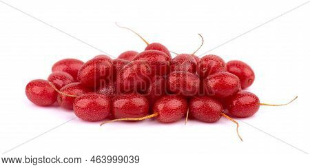 Elaeagnus Multiflora Isolated On White Background. Cherry Elaeagnus, Cherry Silverberry, Goumi Or Gu
