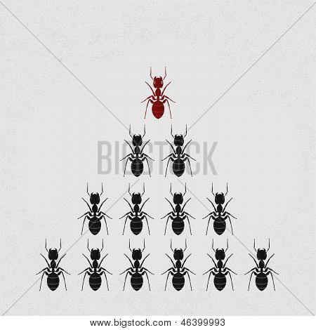 Ant leader  vector format