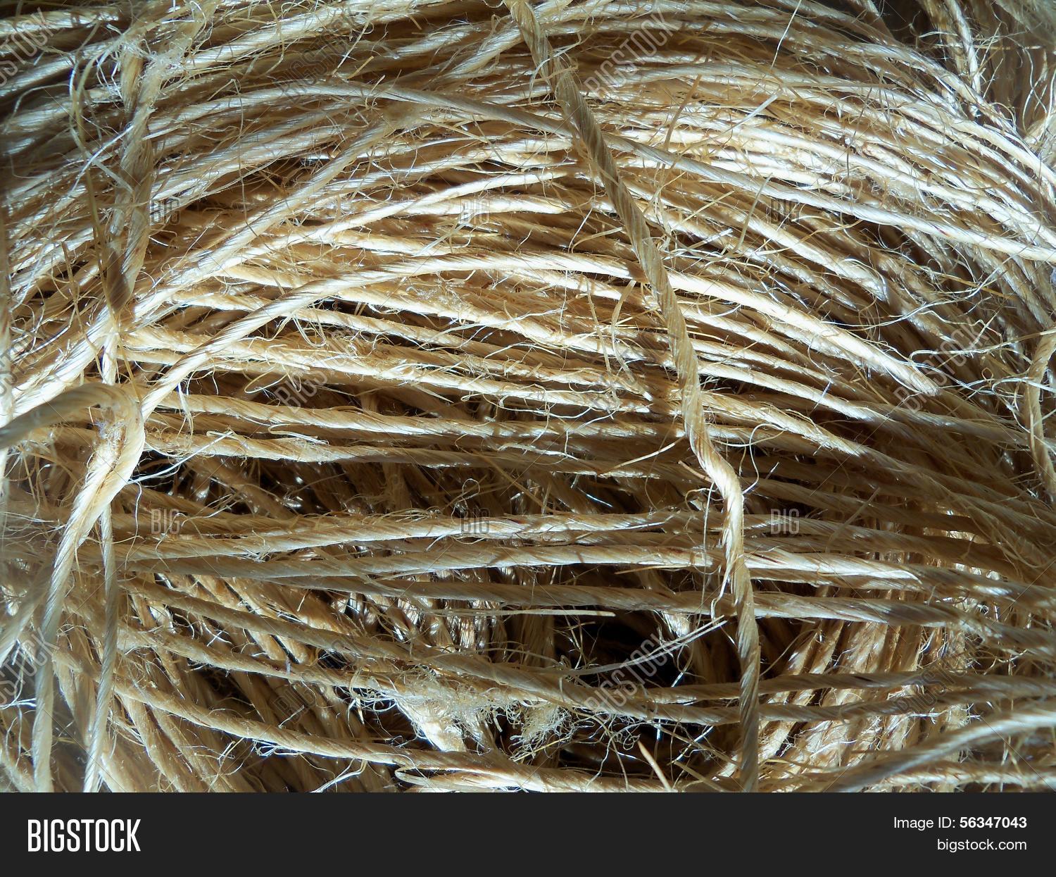 Bundle Straw Colored Image & Photo (Free Trial) Bigstock