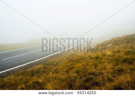 Road in the fog