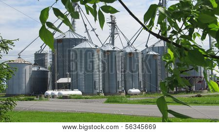 Élévateur à grain