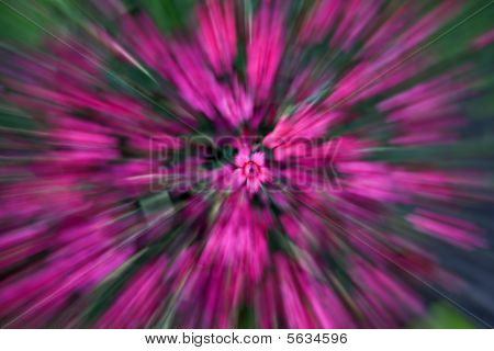 Blomst blæser op