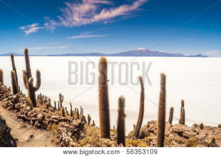 Salar