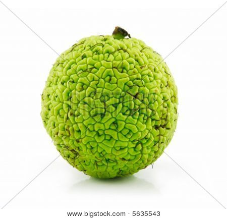 Osage Orange (maclura) Isolated On White