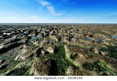 Waddenzeen Alankomaiden