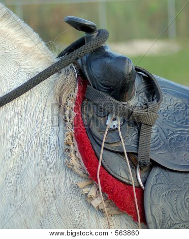 Horse_saddle2_5248