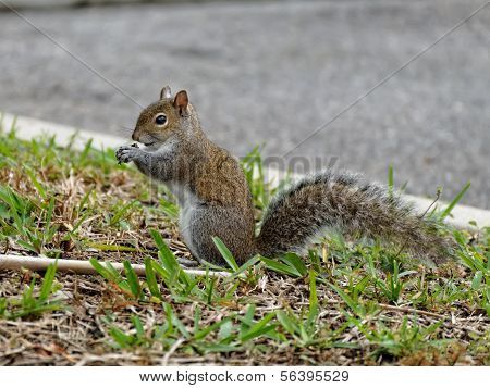 Snack Time