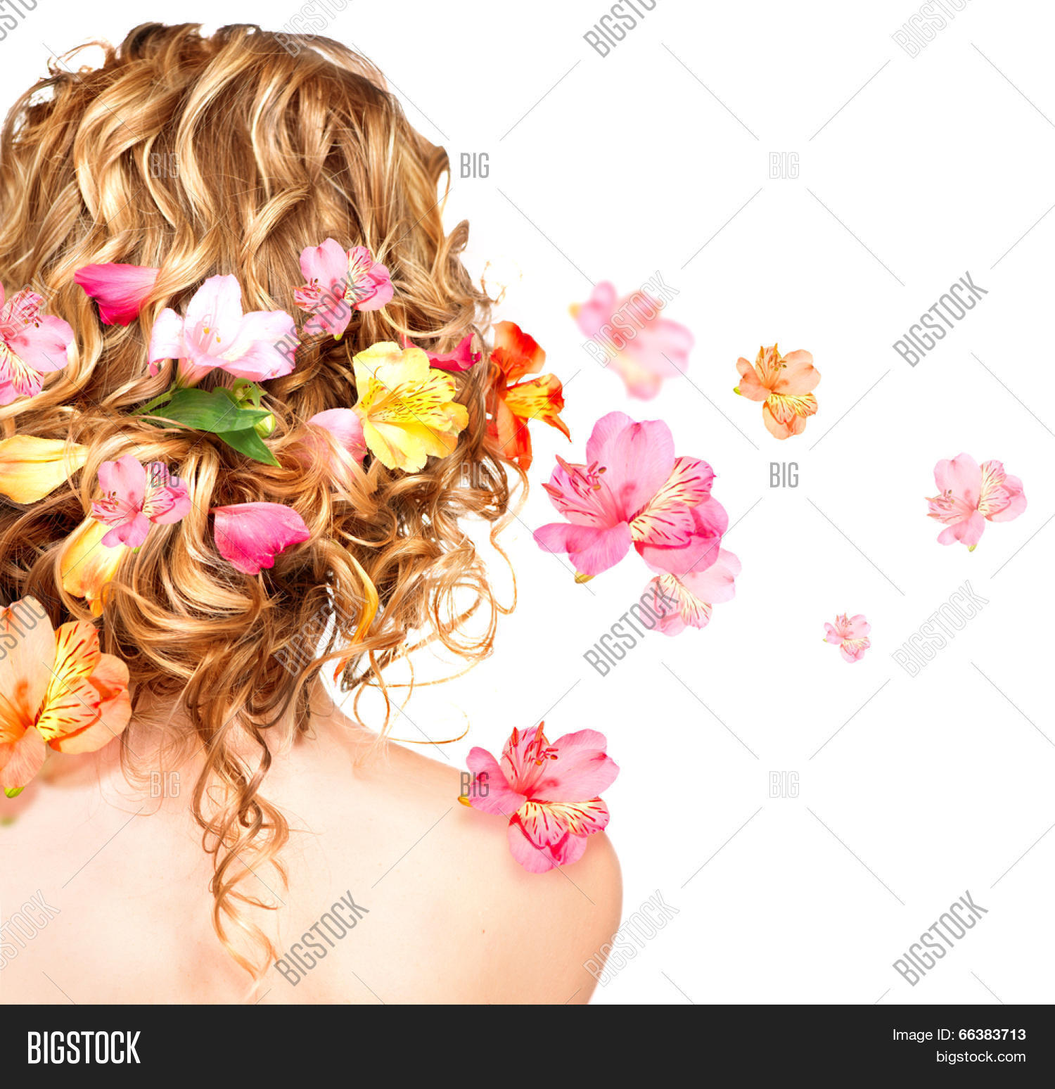 Hairstyle Colorful Image & Photo (Free Trial) | Bigstock