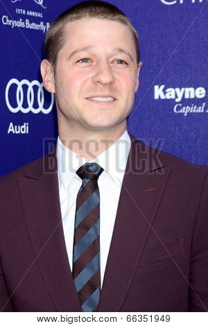 LOS ANGELES - JUN 7:  Benjamin McKenzie at the 13th Annual Chrysalis Butterfly Ball at Private Mandeville Canyon Estate on June 7, 2014 in Los Angeles, CA
