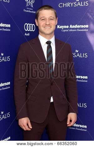 LOS ANGELES - JUN 7:  Benjamin McKenzie at the 13th Annual Chrysalis Butterfly Ball at Private Mandeville Canyon Estate on June 7, 2014 in Los Angeles, CA