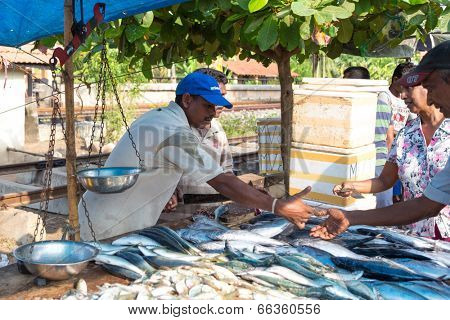 HIKKADUWA, SRI LANKA - FEBRUARY 23, 2014: Local street vendor selling fish. The Sunday market is a fantastic way to see Hikkaduwa's local life come alive along with fresh produce and local delicacy.