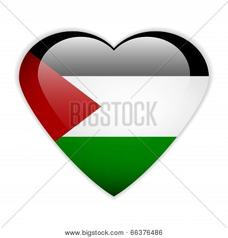 Palestine Flag Button.