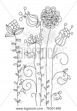wildflowers