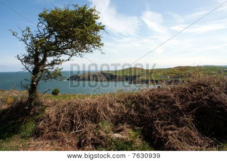 Porth Wen