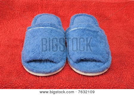 Blue hjemmesko