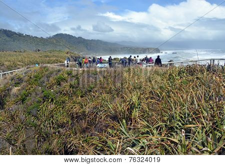 Tourists Taking Photos At Punakaiki Rocks, West Coast New Zealand.