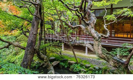 Garden at Eikando Zenrin-ji Temple in Kyoto Japan