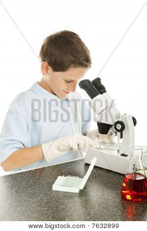 Cientista Júnior