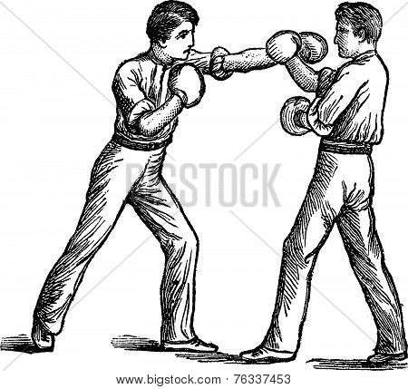 Two Boxers Boxing Vintage Engraving