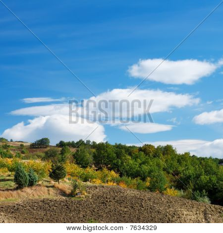 Paesaggio agricolo