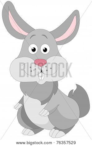 Cute Grey Rabbit, Illustration