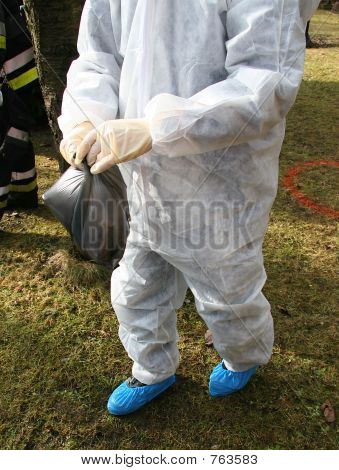 ภัยไข้หวัดนก 2