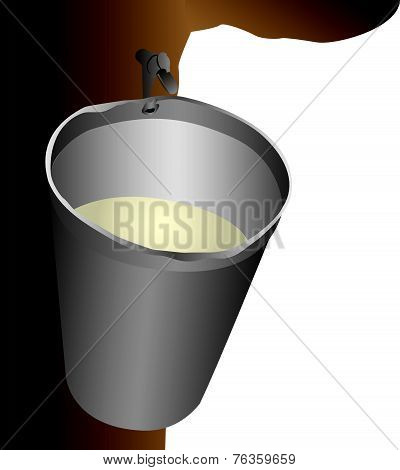 Maple Water Bucket