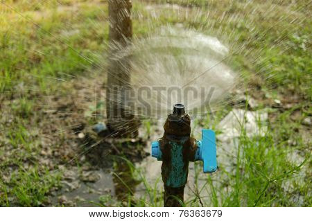Sprinkler irrigation
