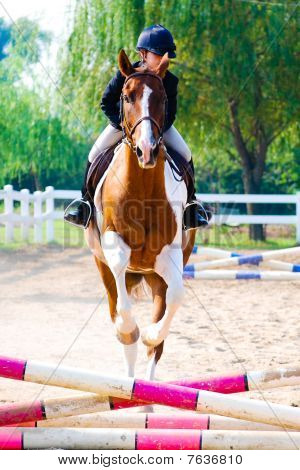 Concours Hippique