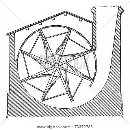 Guibal Fan, Vintage Engraving.