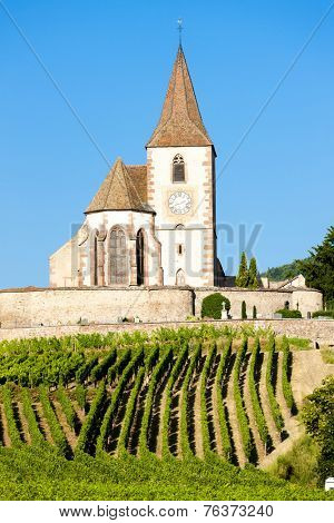 church with vineyard, Hunawihr, Alsace, France