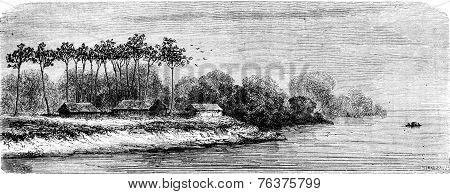 Accommodation Piros-chontaquiros, Vintage Engraving.