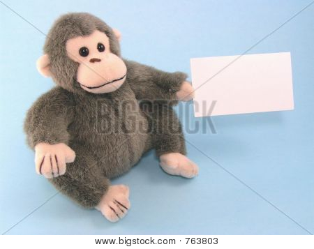 Monkey Business