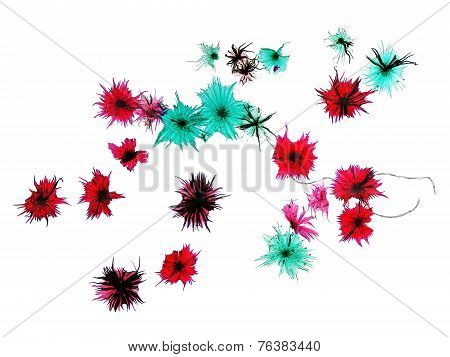 Silver Berry Micrograph